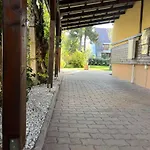 Abigel Vendeghaz