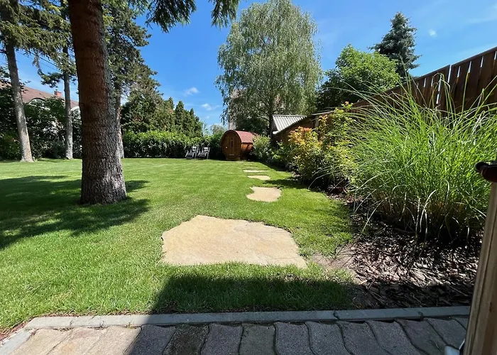 Abigel Vendeghaz * קסזטלי